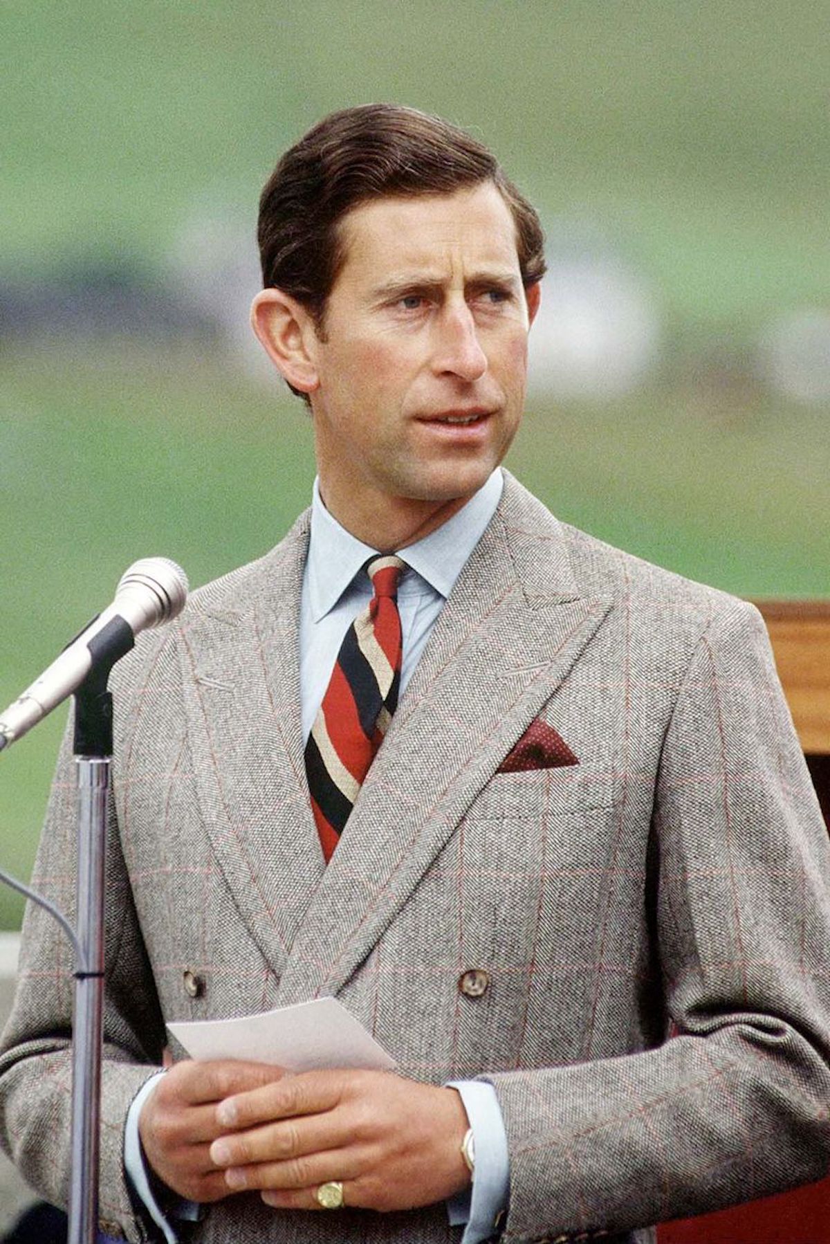 Принц Чарльз, 1986 рік