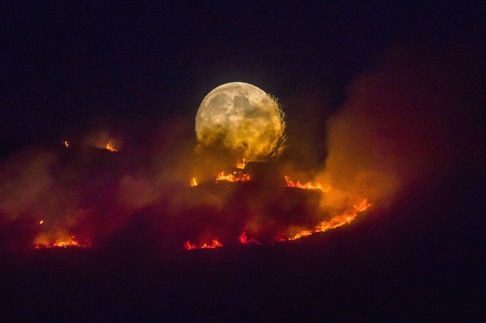 Пожар на вересковых полях в Северной Англии. 2018 год. Фото: Энтони Девлин
