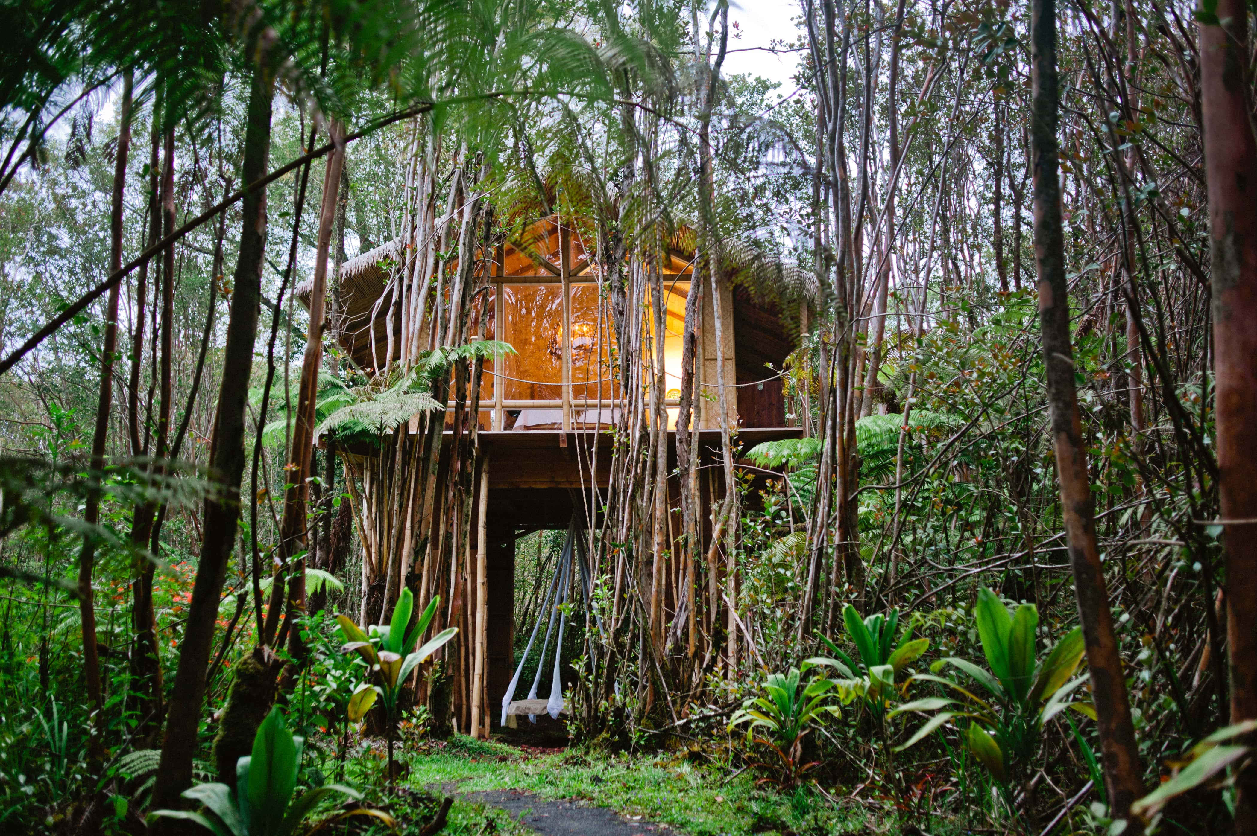 Сказочный дом на тропическом дереве (Ферн-Форест, Гавайи)