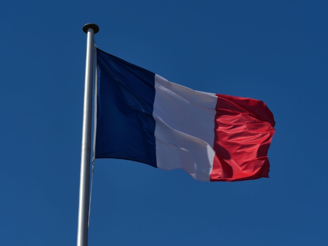 Синий другого оттенка: Франция поменяла национальный флаг на версию 1796 года