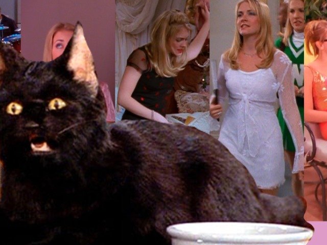 Sabrina the hungry witch. Сабрина маленькая ведьма сериал Салем. Сабрина маленькая ведьма Салем человек. Салем из сериала Сабрина маленькая ведьма. Сабрина маленькая ведьма СТС.