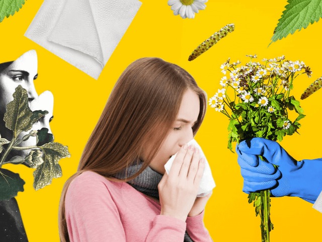Когда весна становится адом: Как бороться с весенней аллергией