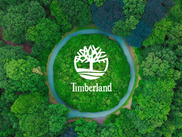 Timberland посадят 50 миллионов деревьев до 2025 года