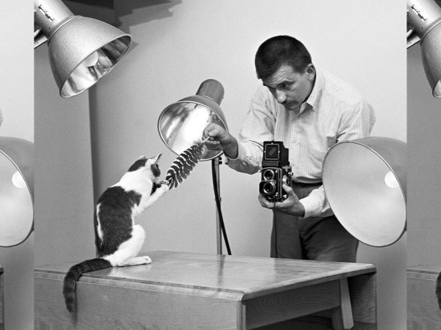Уолтер Чандоха: Фотограф, который 70 лет посвятил искусству фотографирования кошек 