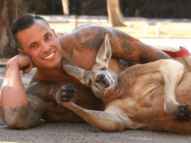 Австралийские пожарные выпустили календарь с животными. Все ради благотворительности 