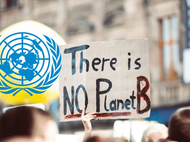 Всего 3 пункта: ООН рассказали, как спасти планету