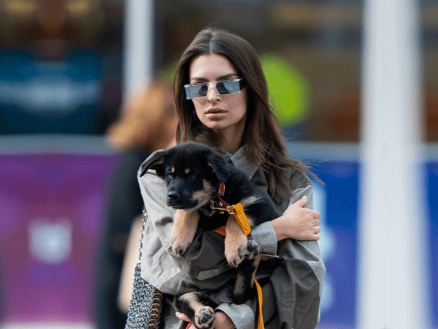 Пример для подражания: Что носит Эмили Ратаковски во время прогулок со своей собакой