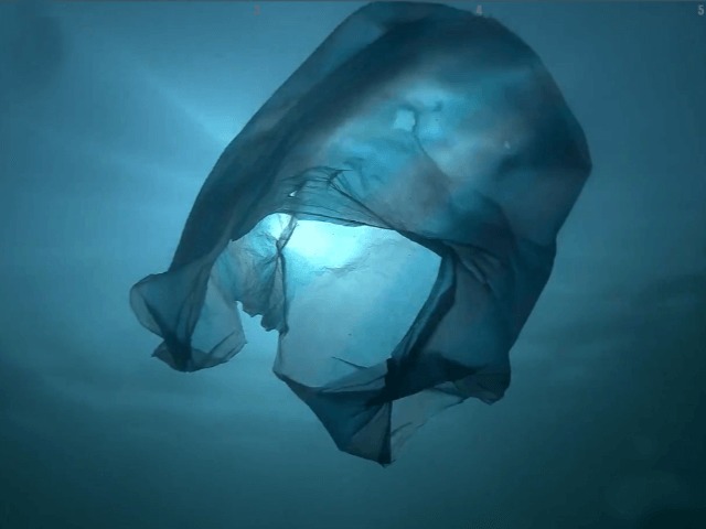 Всего 20 компаний в мире производят 55% пластиковых отходов на планете