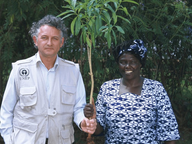 Фонд Yves Rocher висадив 100 мільйонів дерев у світі