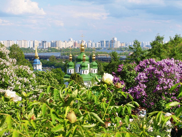 Озеленение города: В Киеве бесплатно раздадут саженцы деревьев 