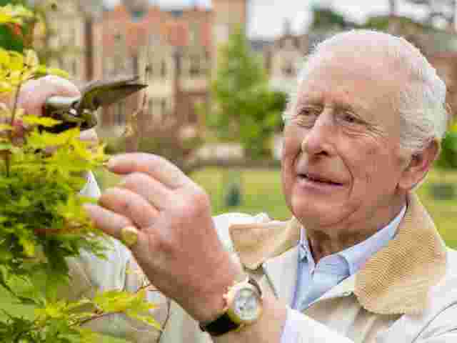 Букінгемський палац презентував новий портрет Чарльза III до дня його народження 