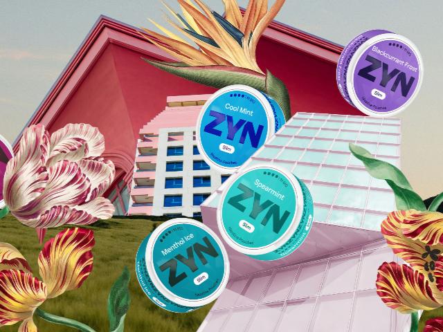 Архітектура смаків: як формуються наші вподобання