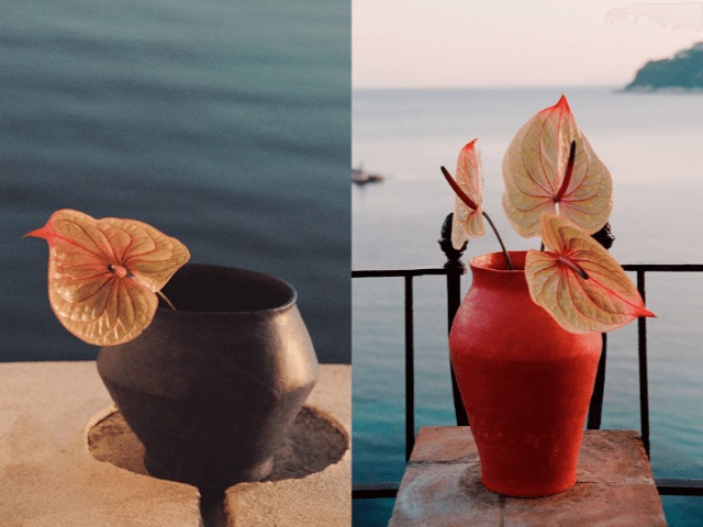 Saint Laurent выпустили коллекцию керамических ваз, вдохновленных садом Ива Сен-Лорана