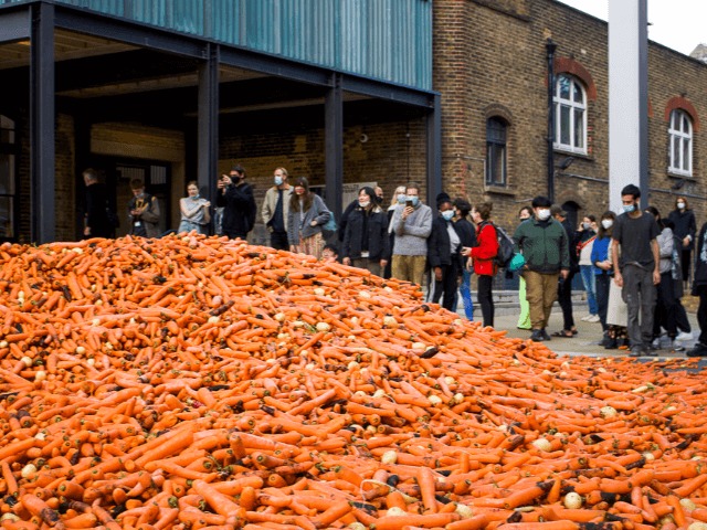 Студент выбросил во двор колледжа 31 тонну моркови. Всё ради искусства