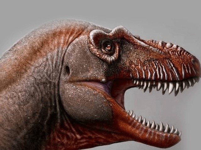"Жнец смерти": В Канаде обнаружили останки нового вида тираннозавра
