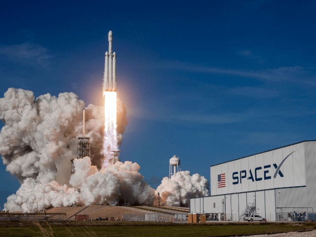 Запуски ракет SpaceX Илона Маска катастрофически вредят дикой природе и экологии Техаса