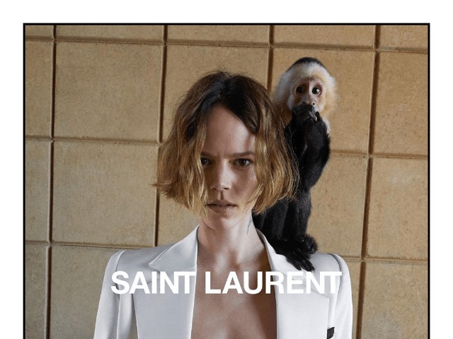 Фрея Беха Эриксен позирует в компании обезьянки для рекламы Saint Laurent