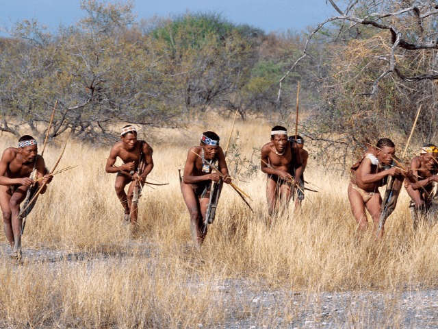 Ученые доказали, что человечество происходит из Ботсваны