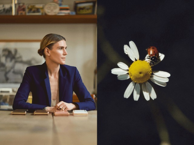 Chloé начали публиковать снимки жуков, растений и фруктов в своем инстаграме. Зачем это модному бренду