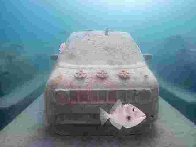 Мистецтво заради порятунку коралів: аргентинський художник створив підводний скульптурний парк