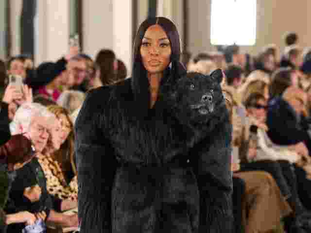 Сукні-рисі та шуби-вовки: Schiaparelli надихаються тваринним світом для створення колекції Haute Couture Spring – 2023