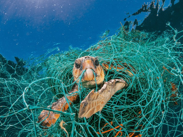 Ученые бьют тревогу: В Атлантическом океане уже найдено 200 миллионов тонн пластика
