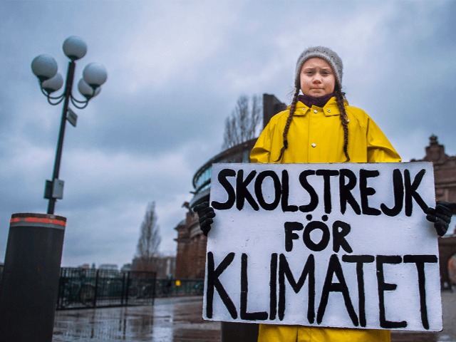 Грета Тунберг призвала проводить климатические забастовки онлайн из-за коронавируса
