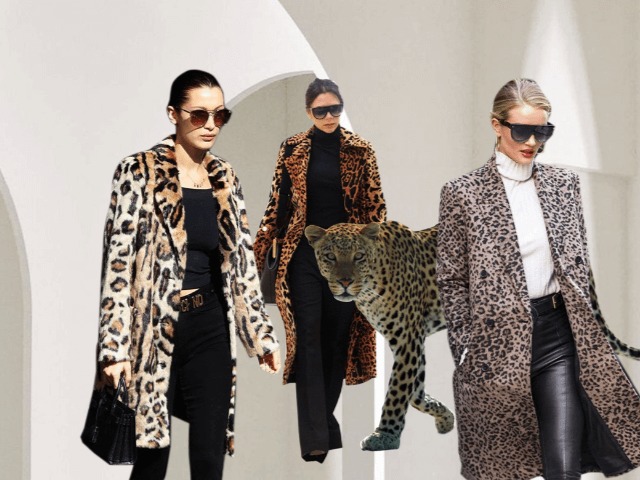 Образ дня: Виктория Бекхэм, Белла Хадид и Роузи Хантингтон-Уайтли в леопардовом пальто