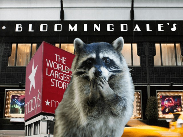 Универмаги Macy's и Bloomingdale's прекратят продажу изделий из меха