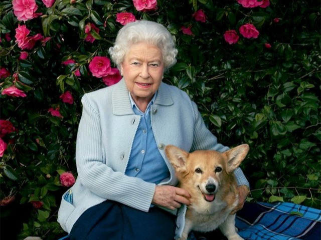 Аромат прогулок по побережью: Королева Елизавета II выпустила унисекс-парфюм для собак