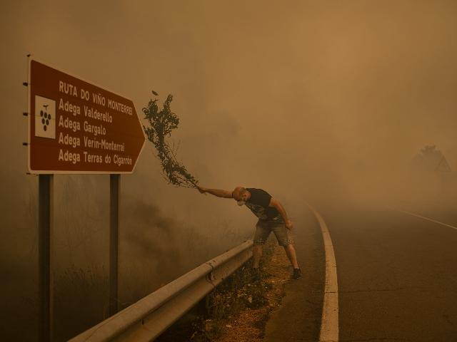 Війни, кліматичні виклики, соціальні трансформації та людські історії: World Press Photo 2025 оголосив кращі фото з Європи
